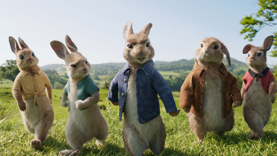 01 PETER HASE ist im Anmarsch und hat nur ein Ziel vor Augen